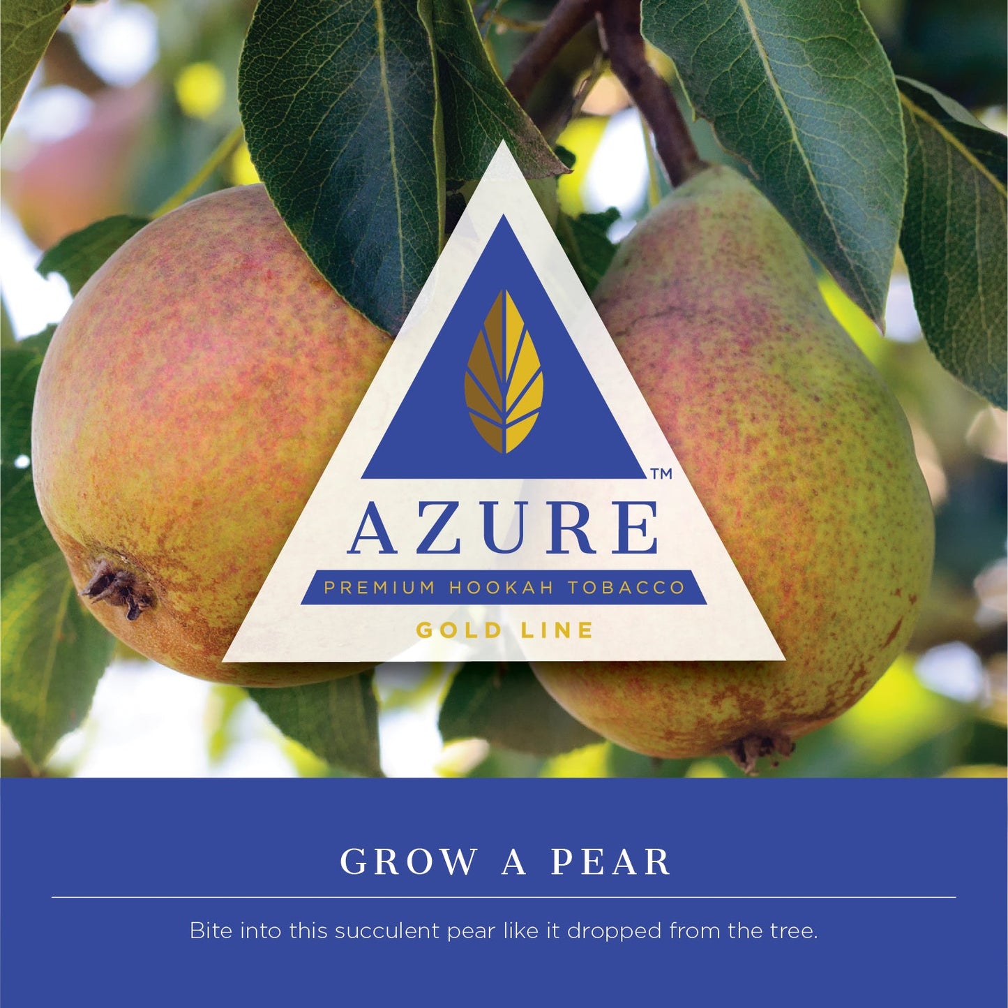 Azure Gold Line 250 gram - Hookah Junkie