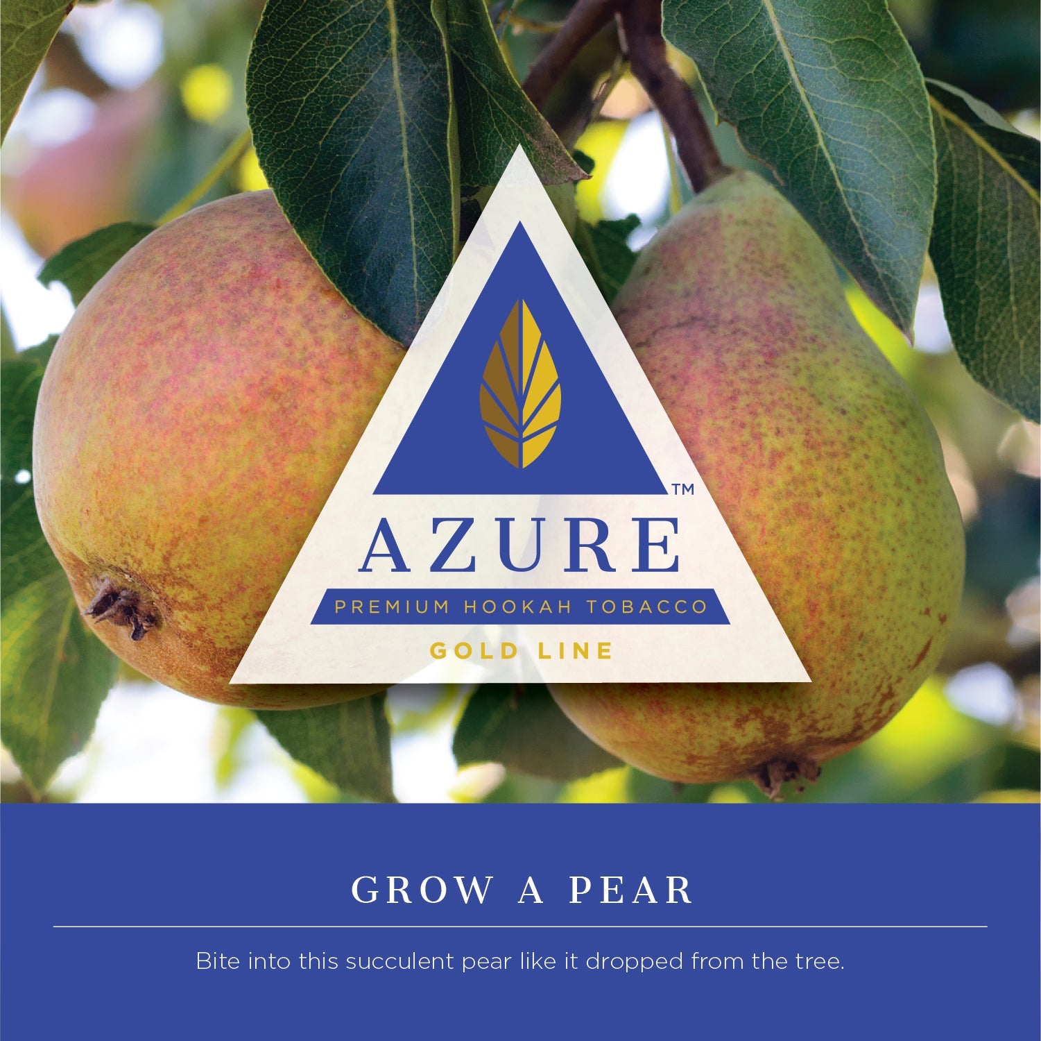 Azure Gold Line 250 gram - Hookah Junkie
