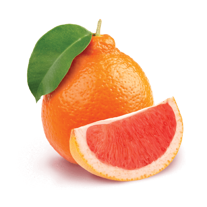 Fumari Kilo