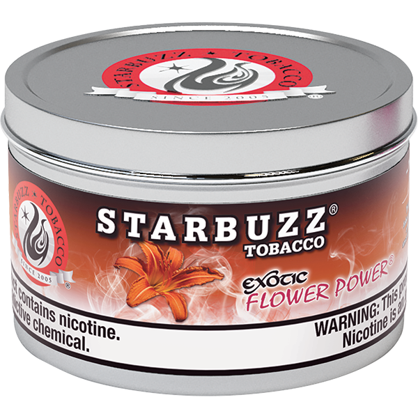 Starbuzz (12 X 100g) Bulk Shisha Tobacco Case