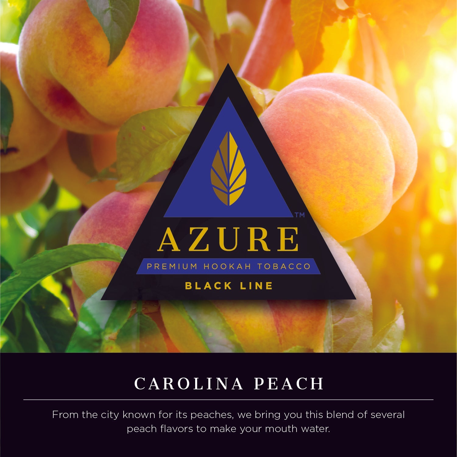 Azure Black Line 100 gram - Hookah Junkie
