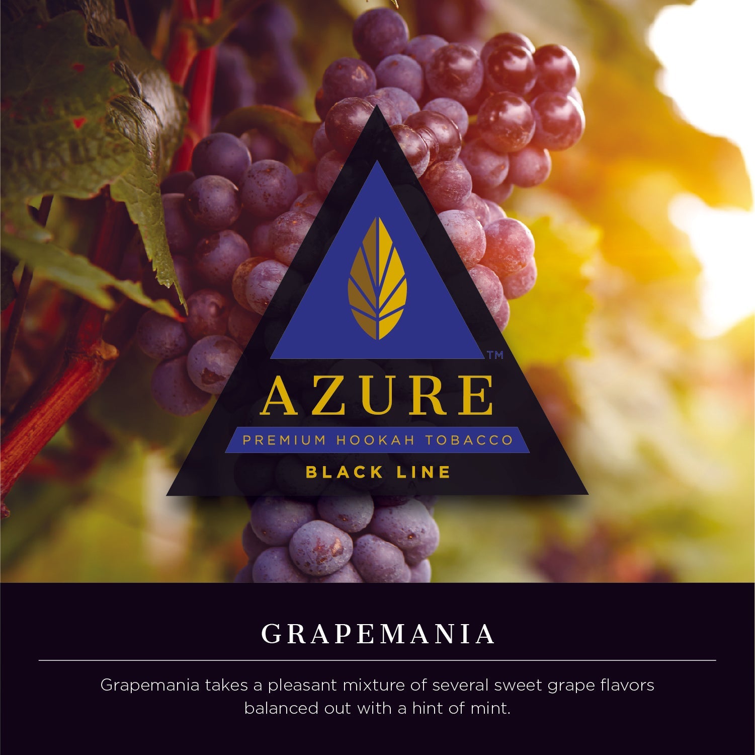 Azure Black Line 100 gram - Hookah Junkie