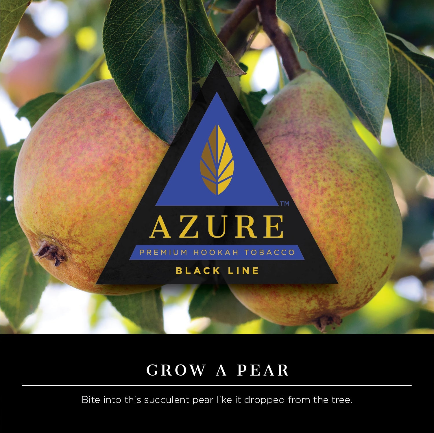 Azure Black Line 250 gram - Hookah Junkie