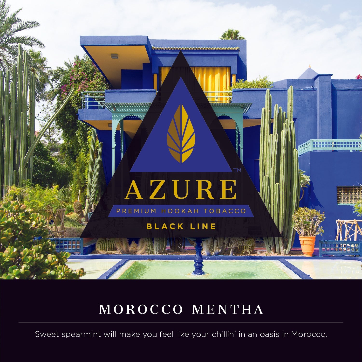 Azure Black Line 100 gram - Hookah Junkie