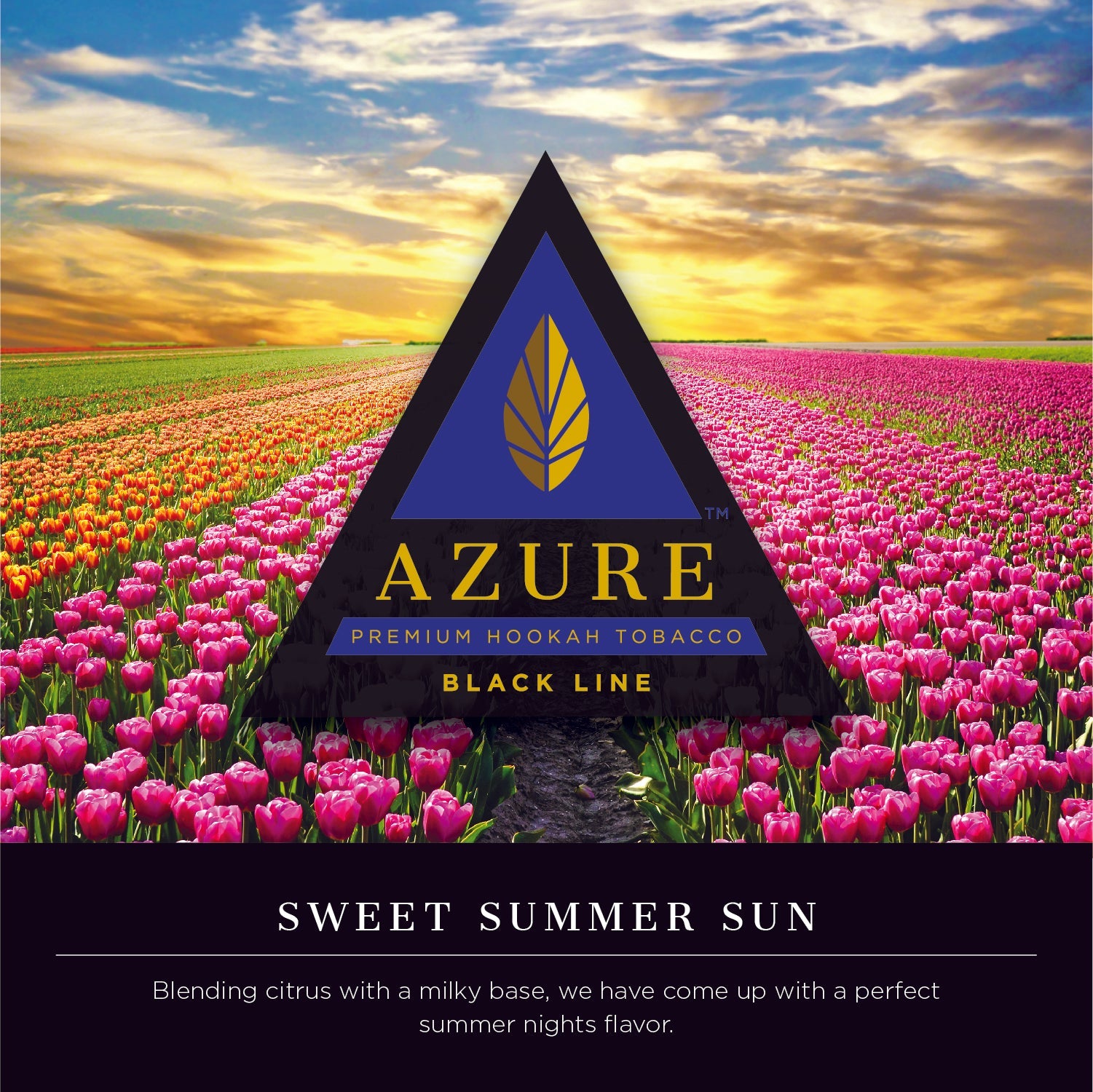 Azure Black Line 100 gram - Hookah Junkie