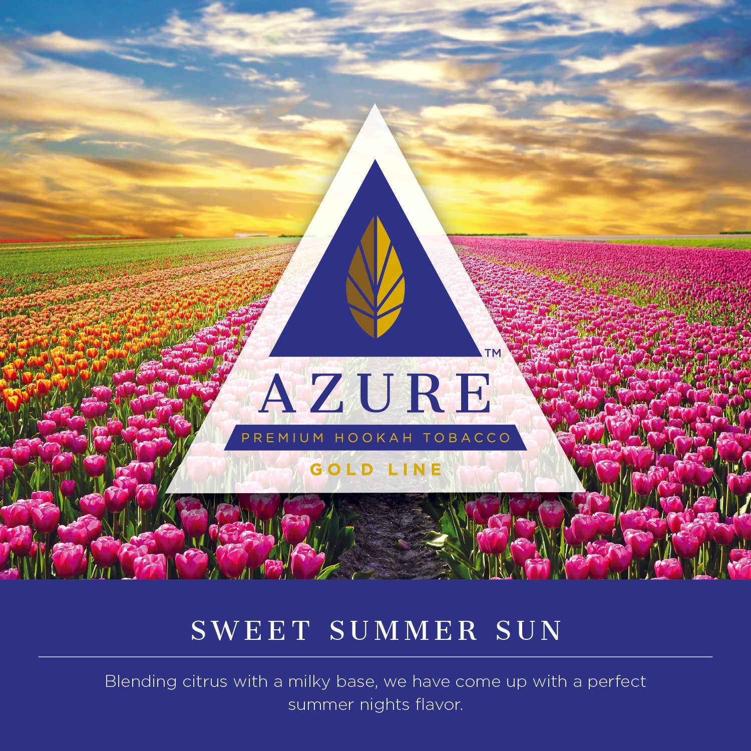 Azure Gold Line 250 gram - Hookah Junkie